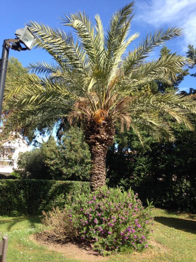 Apartment Eden Saint Tropez Zewnętrze zdjęcie